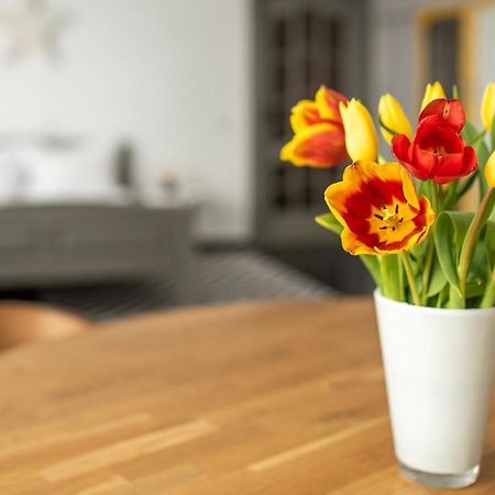 Spacious Ultracentral Apartment كلوج-نابوكا المظهر الخارجي الصورة