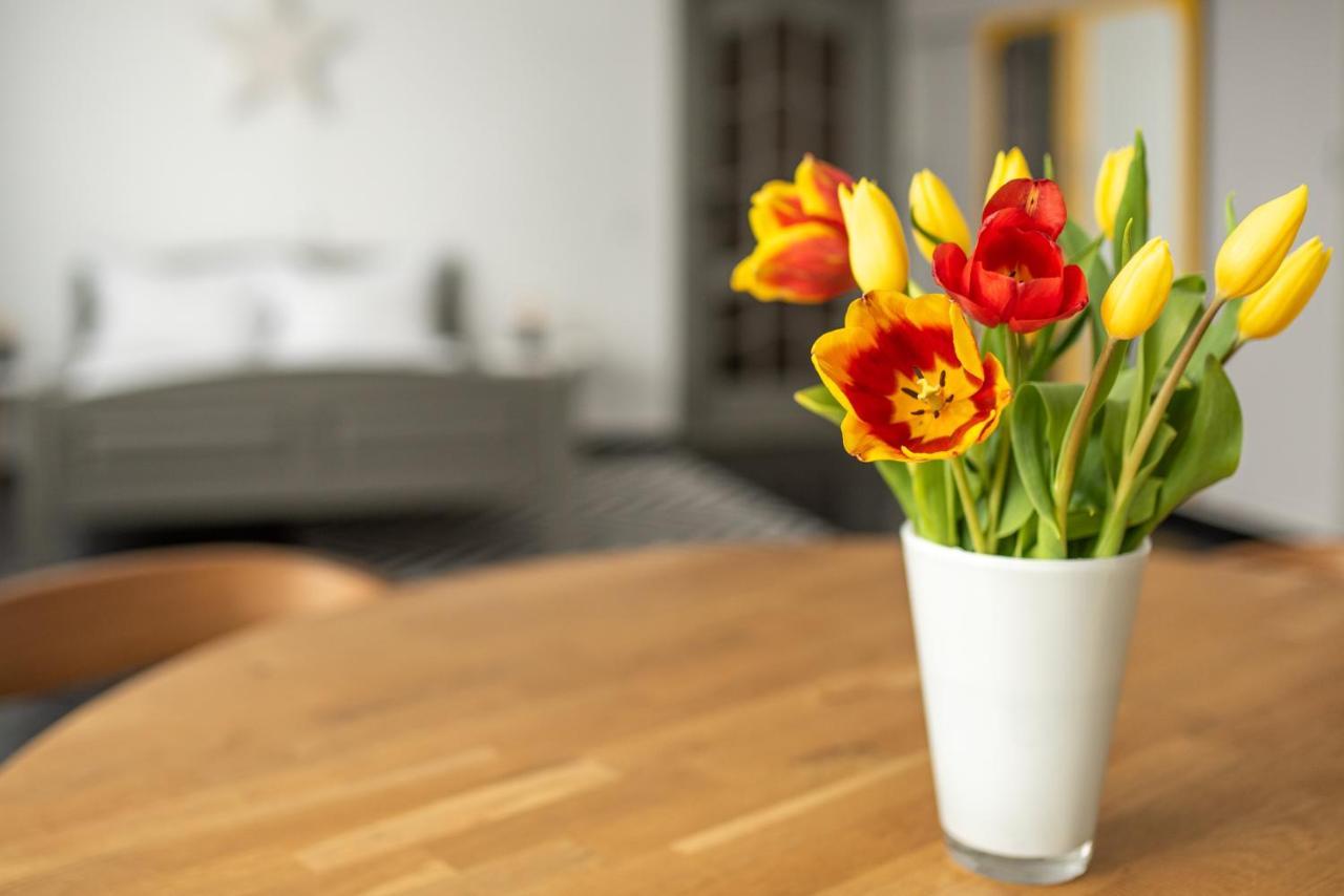 Spacious Ultracentral Apartment كلوج-نابوكا المظهر الخارجي الصورة